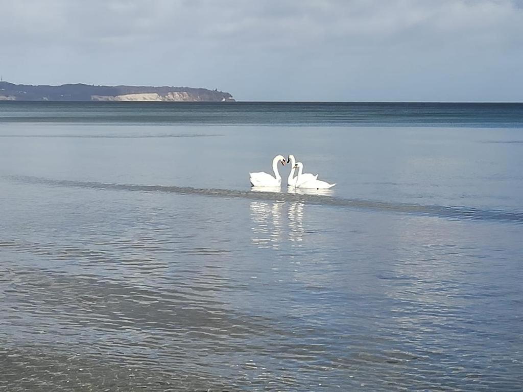 Ankerplatz Binz Im Haus Strelasund Εξωτερικό φωτογραφία